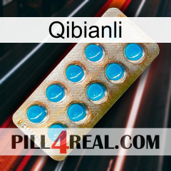 Qibianli new09